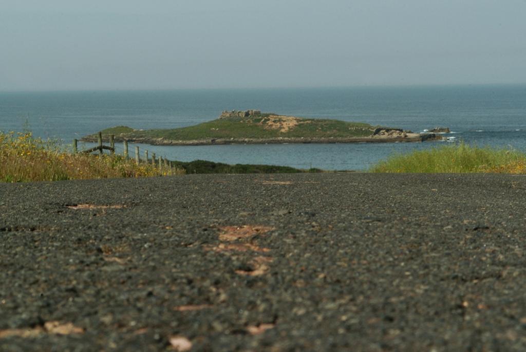 Parque De Campismo Da Ilha Do Pessegueiro Hotel Porto Covo Værelse billede